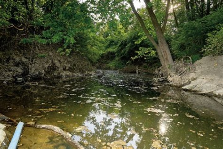 Is Coldwater Creek still in business 2020?