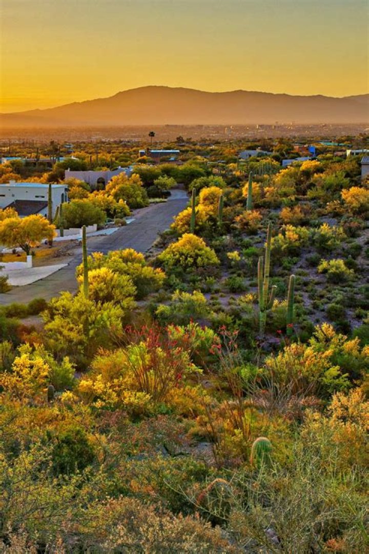 Is Duncan BC a nice place to live?