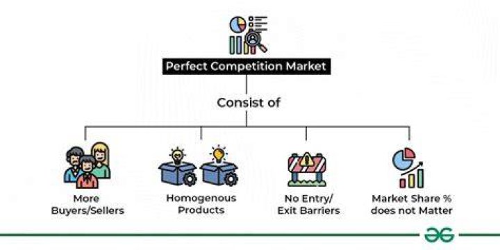 Is eBay a perfectly competitive market?