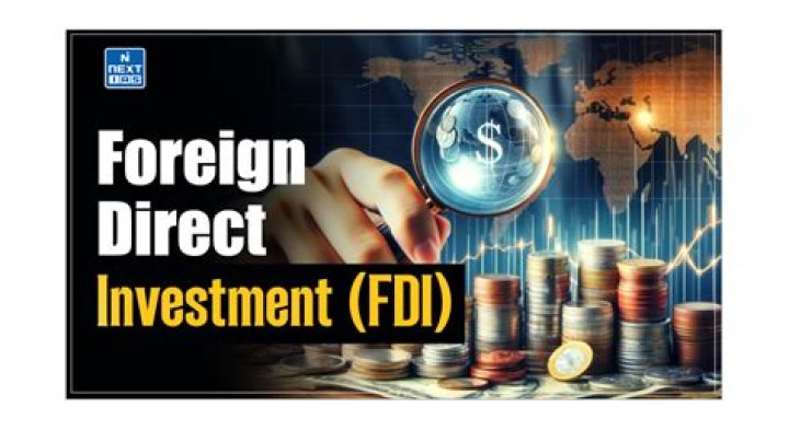 Is foreign direct investment good or bad?