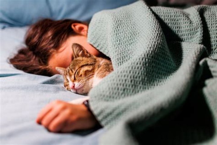 Is it bad to let cats sleep in your bed?
