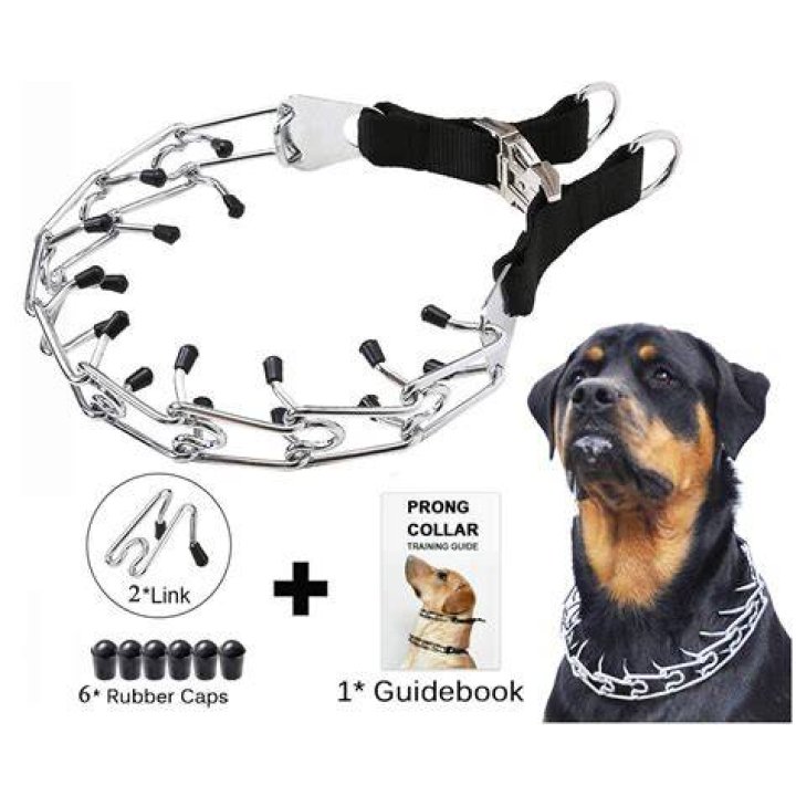 Is it bad to use a choke chain on a dog?