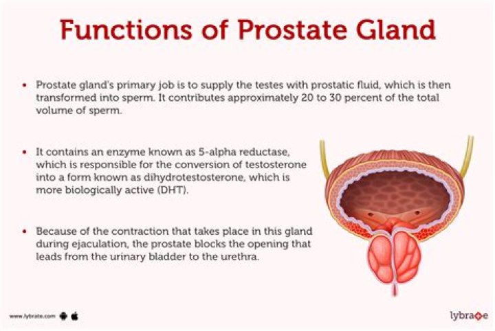 Is it haram to prostrate?