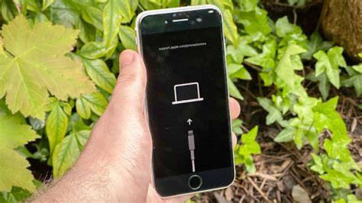 Is it worth buying iPhone 6 in 2021?