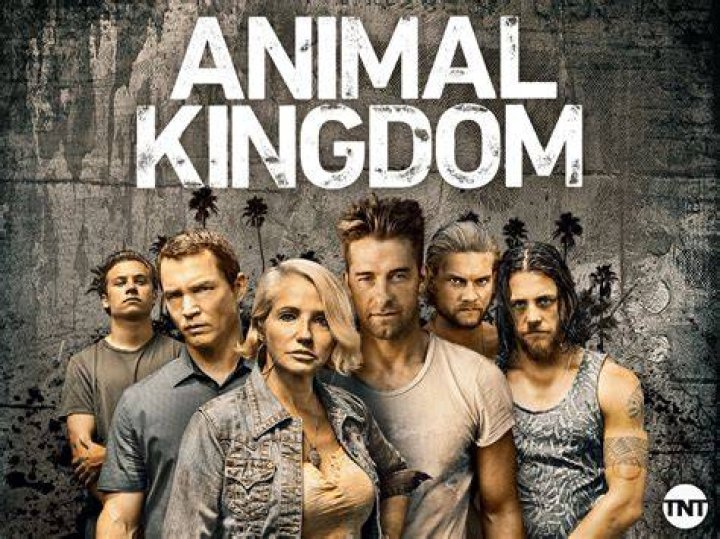 Is Kingdom TV show coming back?