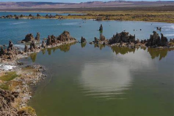 Is lake Lopez safe to swim in?