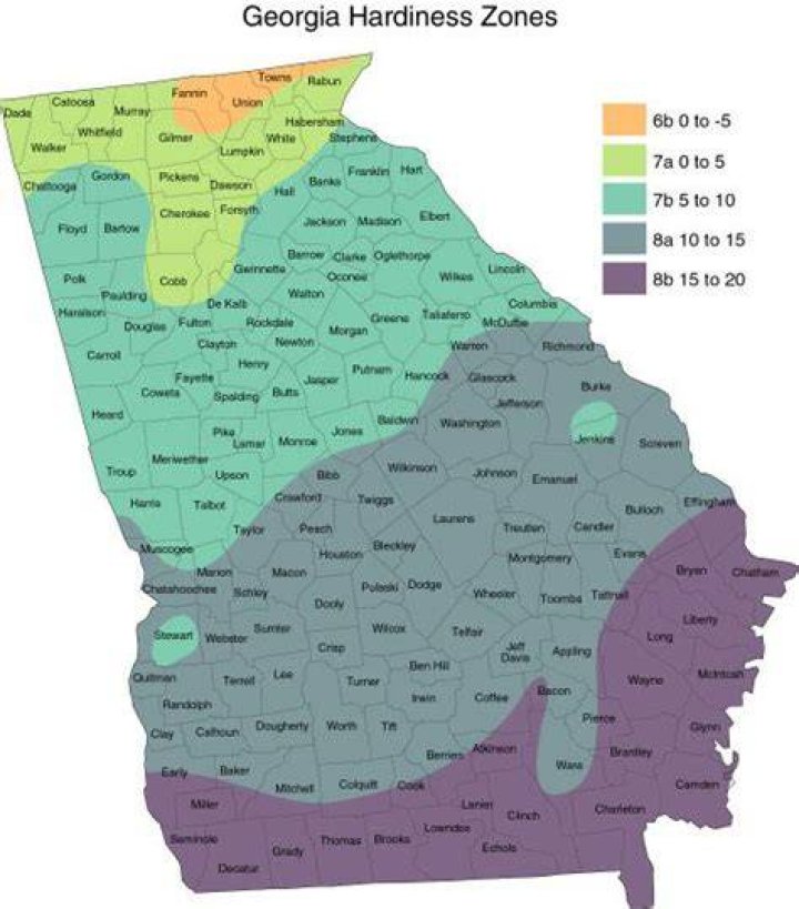 Is Macon GA growing?