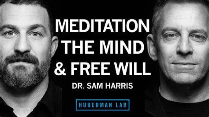 Is Sam Harris meditation app worth it?