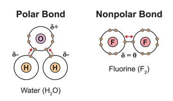 Is the bond in CLF polar or nonpolar?