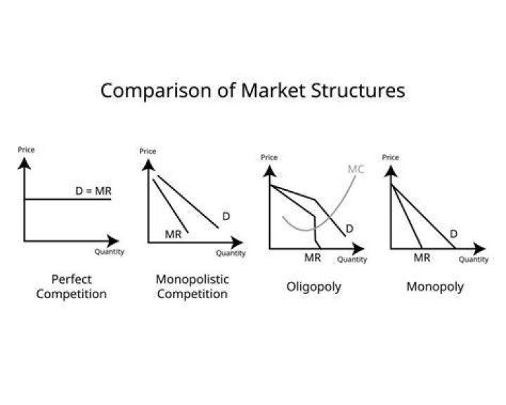 Is the stock market an example of a perfectly competitive market?