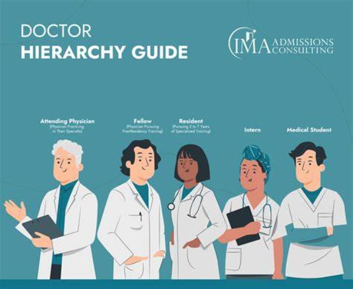 Is there a hierarchy in medicine?