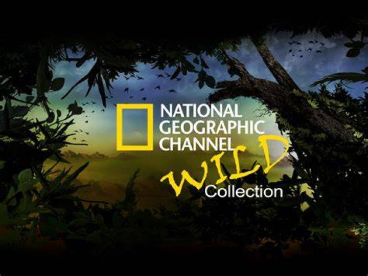Is there a National Geographic Plus 1 channel?