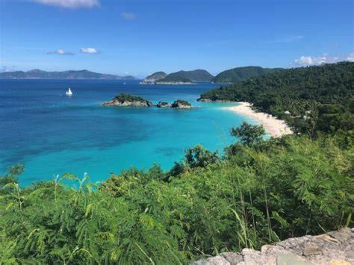 Is Trunk Bay Nice?