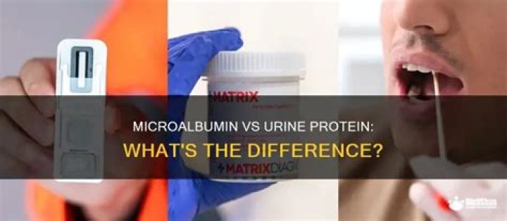 Is urine microalbumin the same as urine protein?