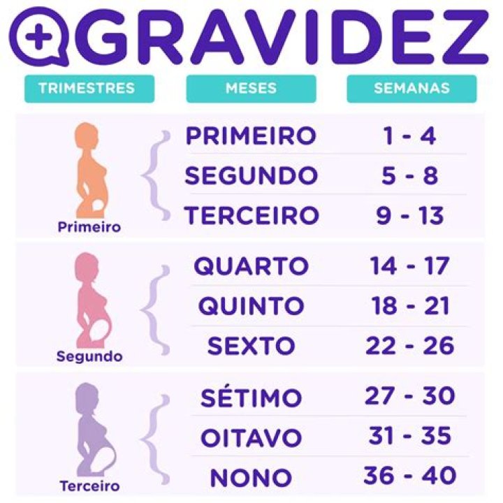 Qual e a gravidez?