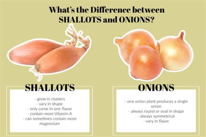 Should I use shallots or onions?
