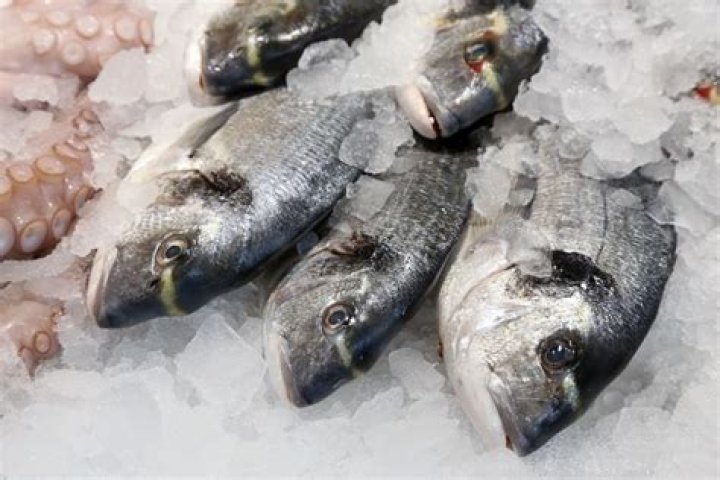 Should you defrost fish before cooking?