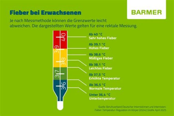 Welche Temperaturbereiche messen Infrarot Thermometer?