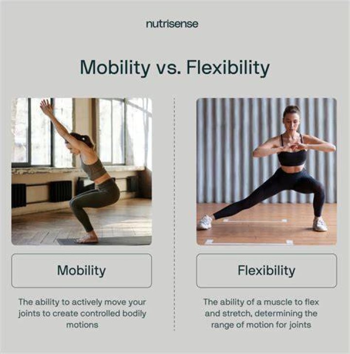 What are 5 examples of flexibility exercises?