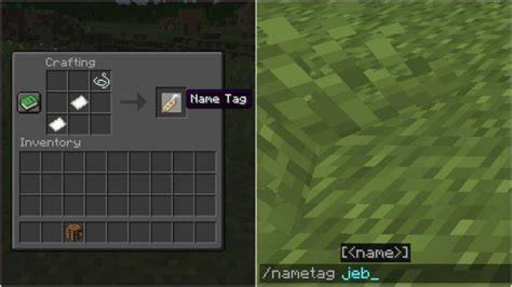 What are all the special name tags in Minecraft?