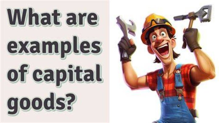What are capital goods examples?