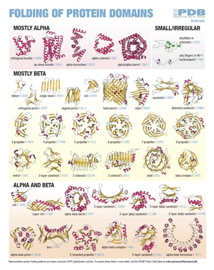 What are domains and motifs in proteins?