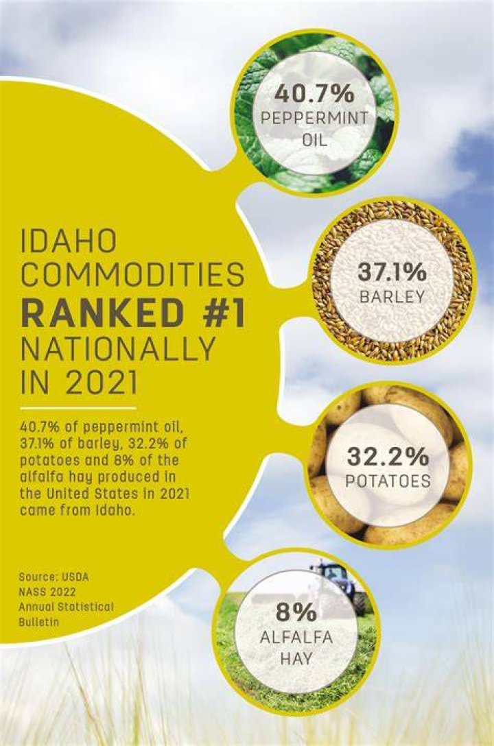 What are Idaho resources?