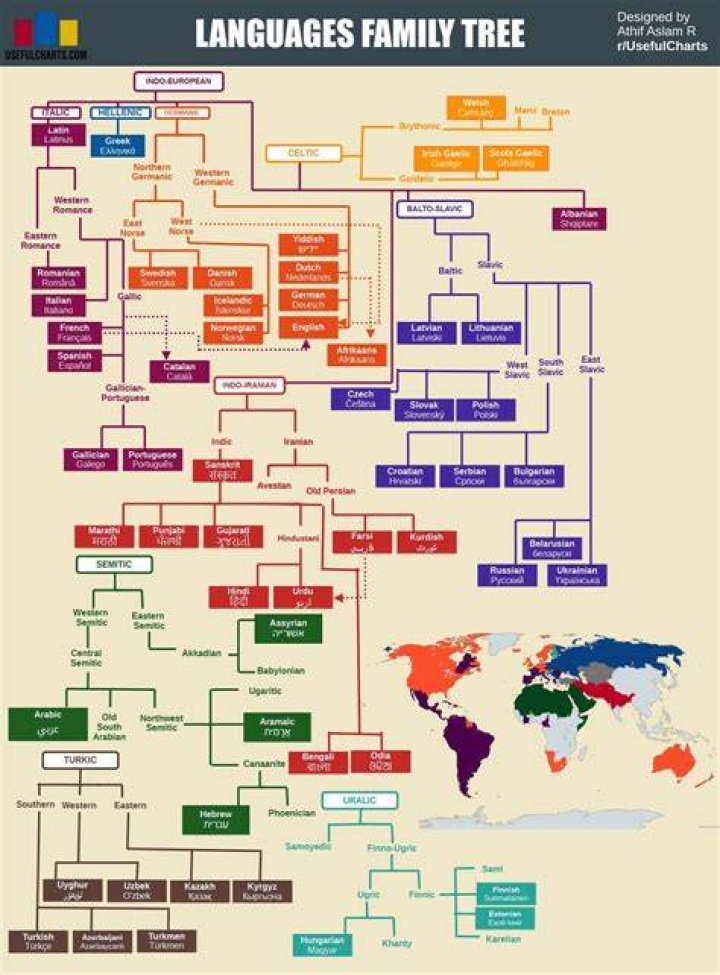 What are language family trees?