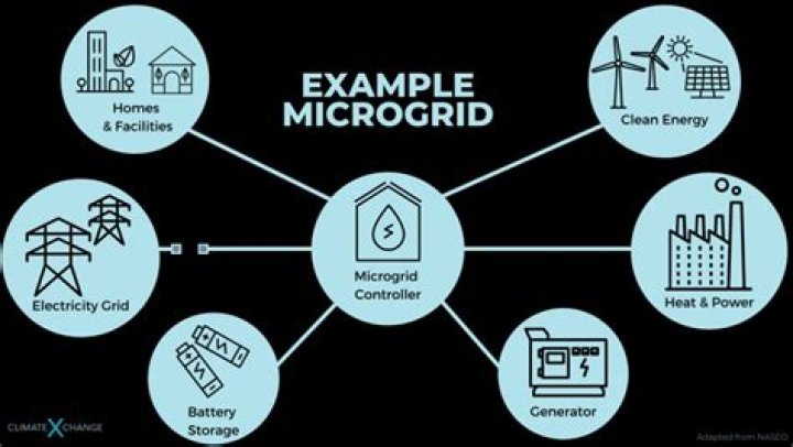 What are microgrid companies?