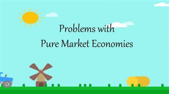 What are pure market economies?