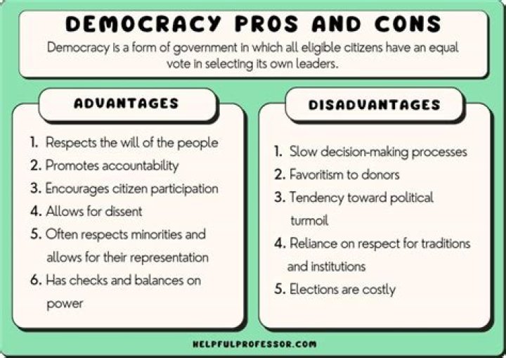What are some advantages and disadvantages of government involvement?