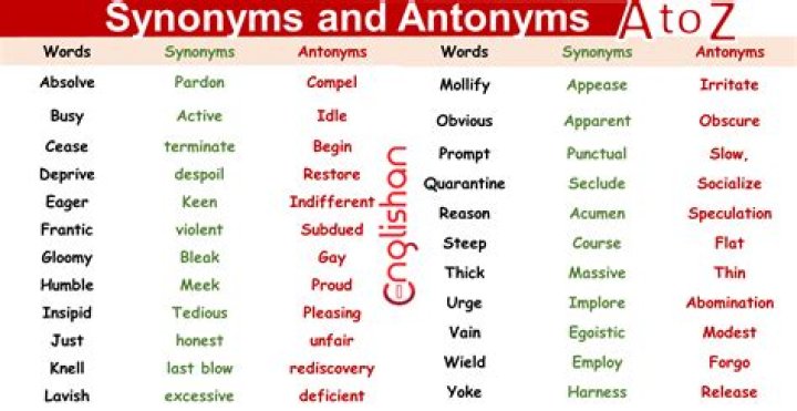 What are some synonyms of franchise?