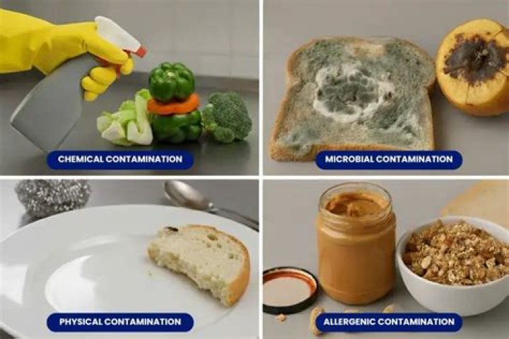 What are the 12 most pesticide contaminated foods?