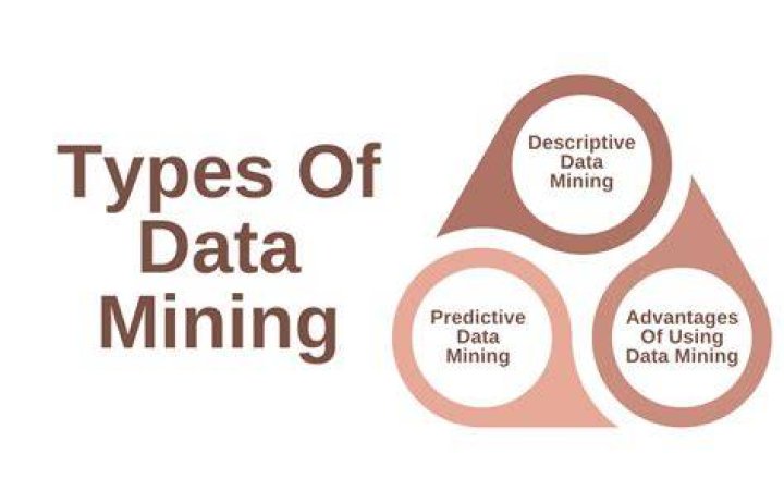 What are the 3 types of data mining?
