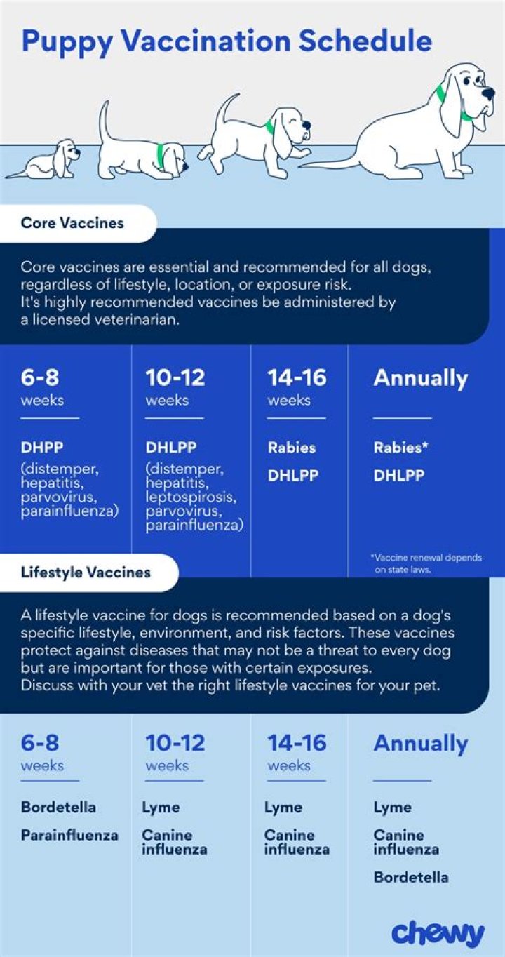 What are the 3 vaccinations for puppies?