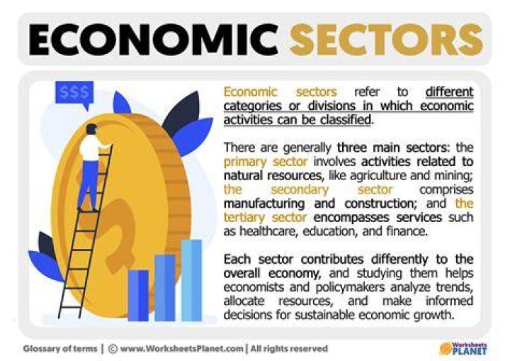 What are the 4 main economic sectors?