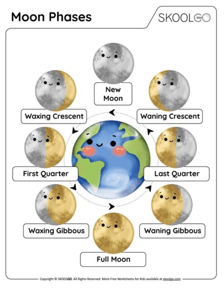 What are the 4 phases of ARDS?