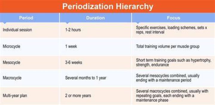 What are the 4 phases of periodization?