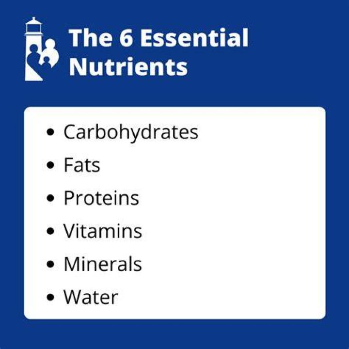 What are the 6 basic nutrients and their definition?