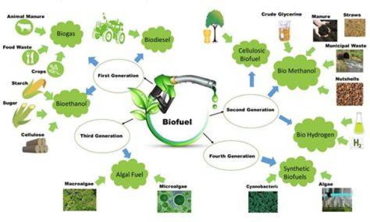 What are the advantages of biofuels?