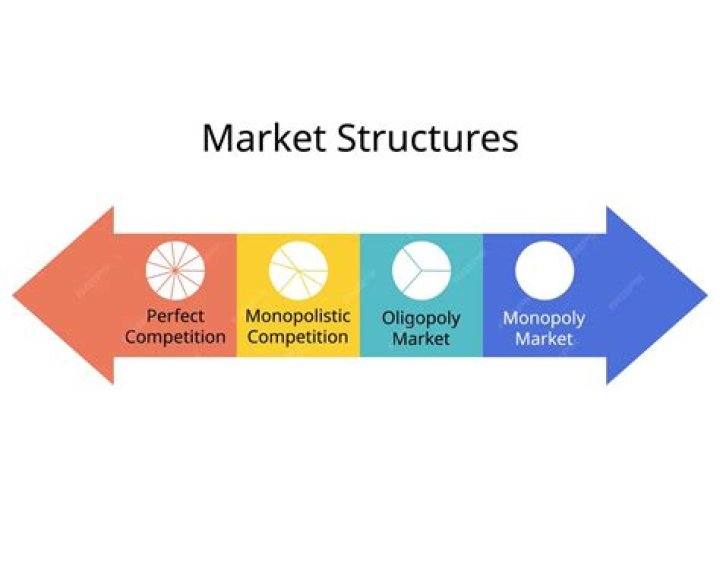 What are the advantages of duopoly?