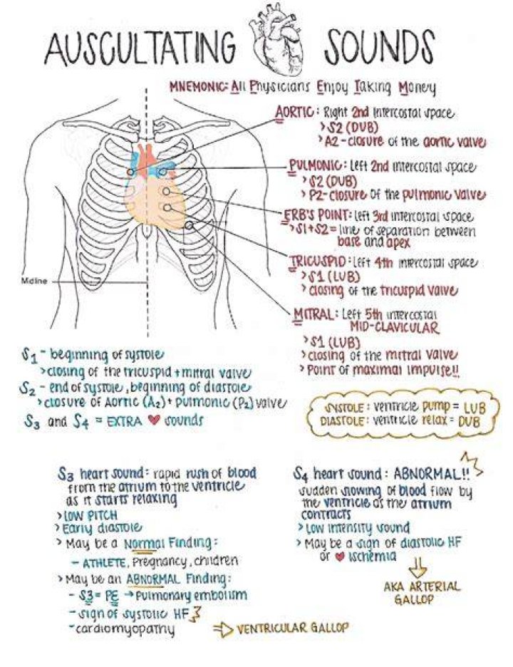 What are the Auscultatory sites of the heart?