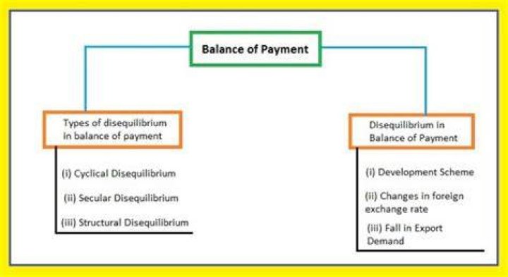 What are the causes of balance of payment disequilibrium?