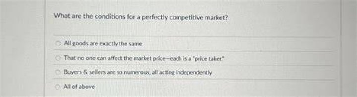 What are the conditions for a perfectly competitive market?