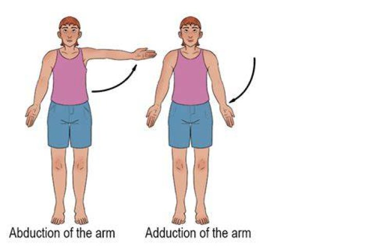 What are the correct movements for order arms?