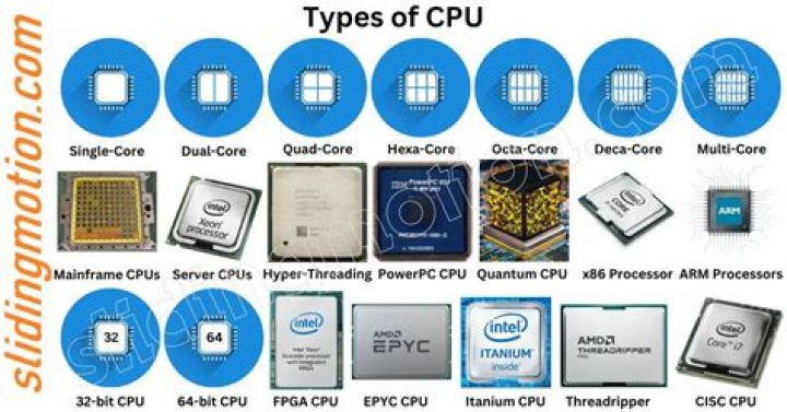 What are the different sizes of processors?