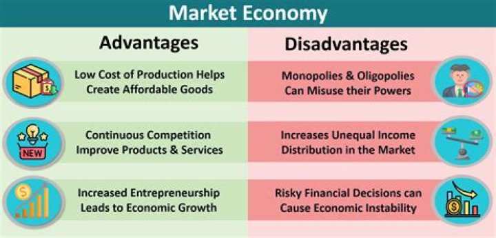 What are the disadvantages of a single product economy?
