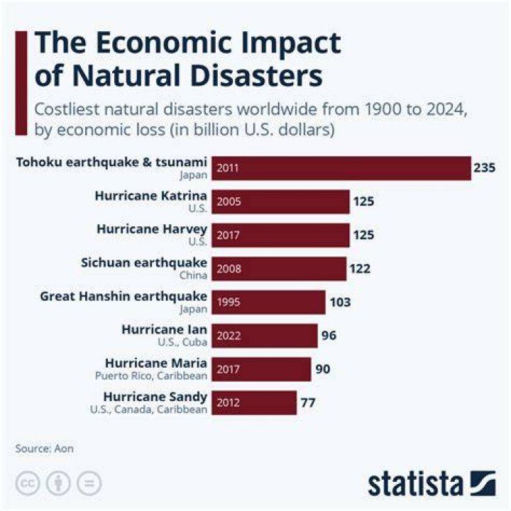 What are the effects of disasters on the economy of a community?