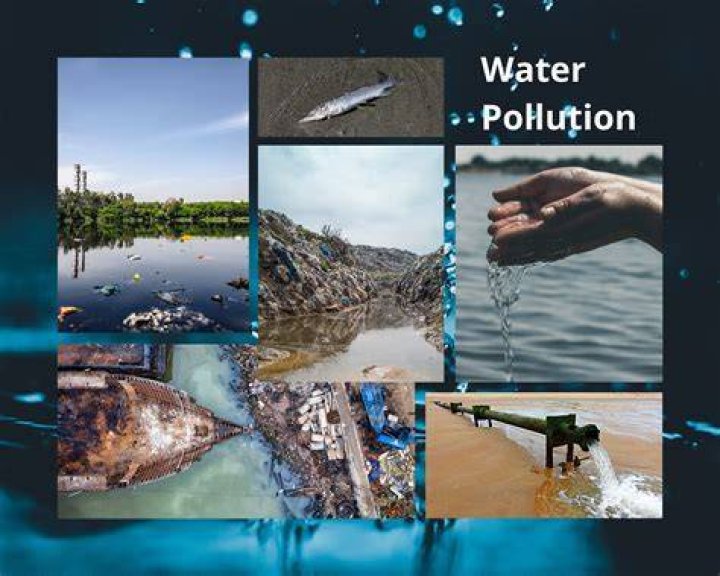 What are the effects of water pollution on the Ganges and Yangtze rivers?