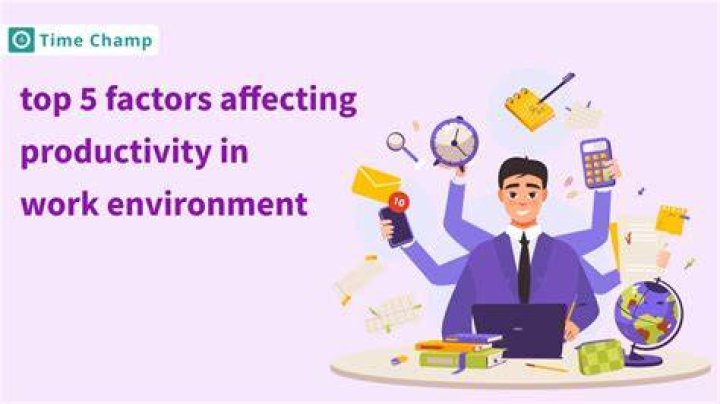 What are the factors affecting labour productivity?